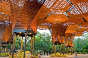 Jardin Botanico